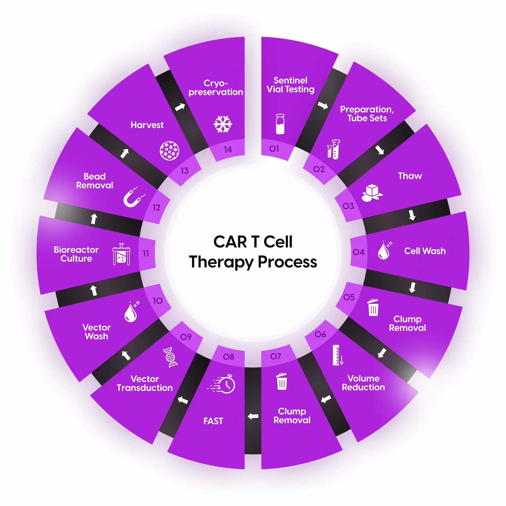 Example of a CAR T Cell Therapy Process