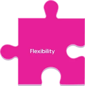Magenta puzzle piece with the title "Flexibility"